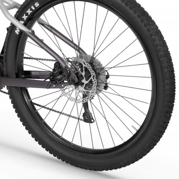 електрически велосипед ecobike 20 амперова батерия